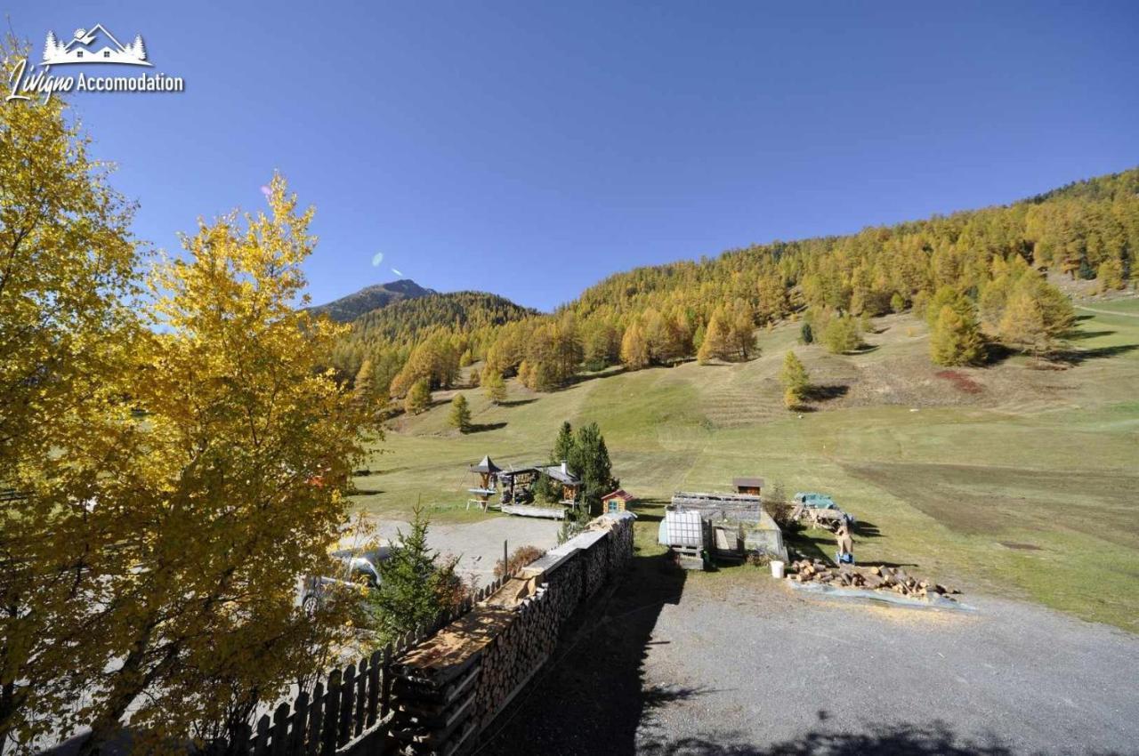 Casa Florin Giumel By Livigno Accomodation Buitenkant foto